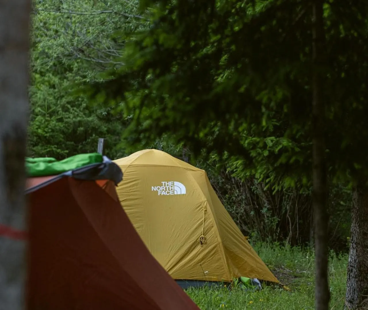 Heldi Eco Camping Dragobi Apartament